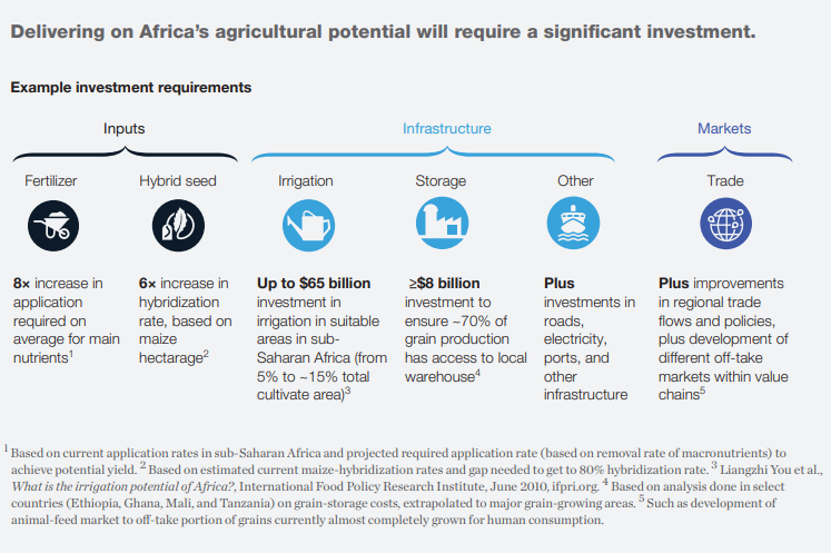 Image source: McKinsey Report, “Winning in Africa’s agricultural market”